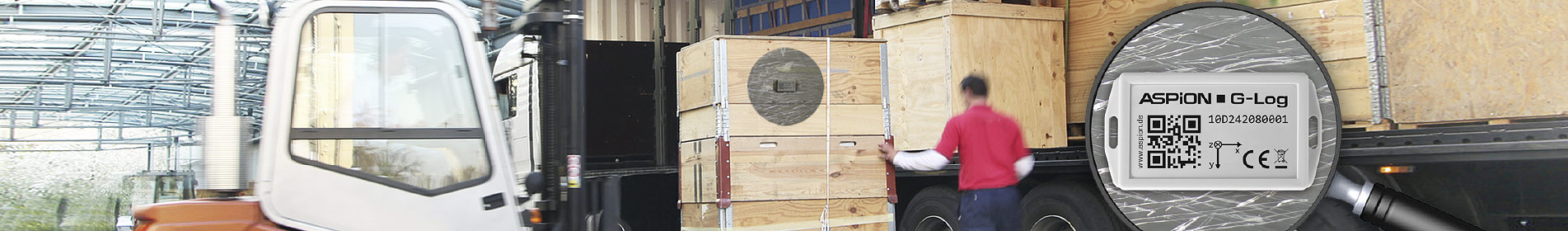 Schocksensor ASPION G-Log